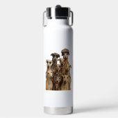 Bouteille D'eau Greyhound (Salle de sport)