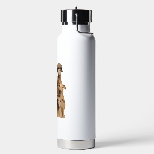 Bouteille D'eau Greyhound (Gym)