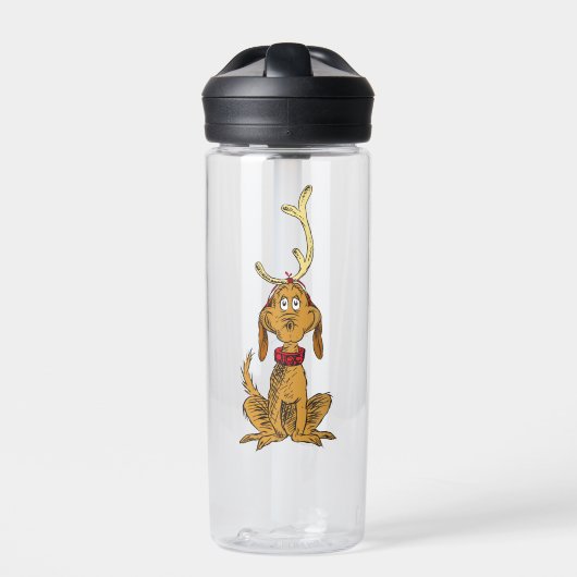 Bouteille D'eau Grinch Classique | Max (Extérieur)