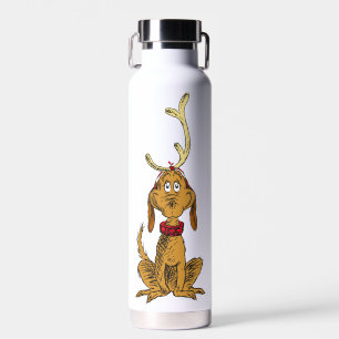 Bouteille D'eau Grinch Classique Max