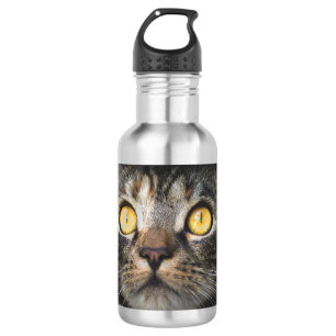 Bouteille D'eau Gros plan de chat avec Yellow Eyes