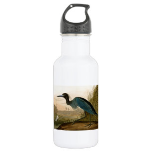Bouteille D'eau Grue Bleue Heron Audubon Peinture