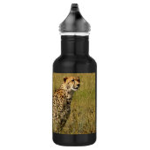 Bouteille D'eau Guépard africain sauvage dans des herbes de la (Droite)