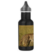 Bouteille D'eau Guépard africain sauvage dans des herbes de la (Gauche)