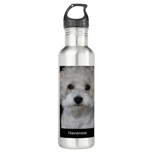 Bouteille D'eau Havanese (Devant)