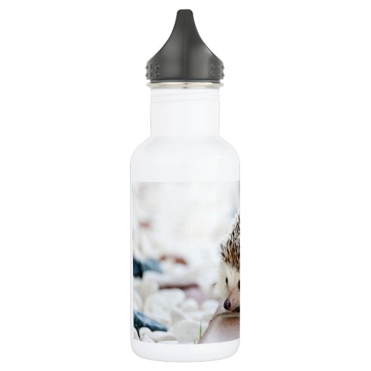 Bouteille D'eau Hérisson mignon de bébé (Gauche)