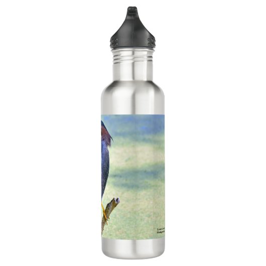 Bouteille D'eau Héron vert (Droite)
