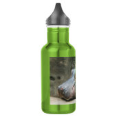 Bouteille D'eau Hippopotame (Gauche)