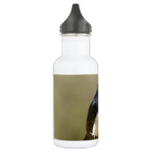 Bouteille D'eau Hochequeue de Willie (Gauche)