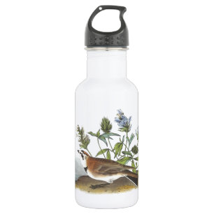 Bouteille D'eau Horned Lark par Audubon