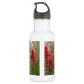 Bouteille D'eau Hummingbird (Dos)