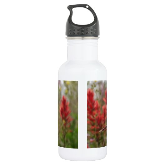 Bouteille D'eau Hummingbird (Dos)