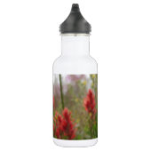 Bouteille D'eau Hummingbird (Droite)