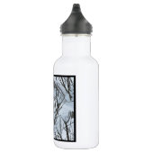 Bouteille D'eau Icy Tree Bush sans faille (Droite)