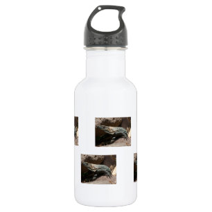 Bouteille D'eau Iguane curieux