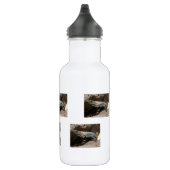 Bouteille D'eau Iguane curieux (Droite)