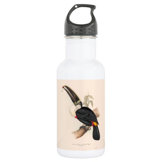 Bouteille D'eau Impression du Toucan de Cuvier : Oiseau Tropical V (Devant)