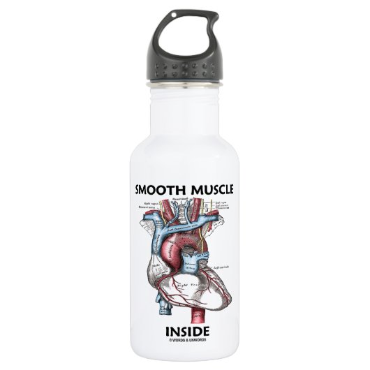 Bouteille D'eau Intérieur de muscle lisse (coeur de l'anatomie du (Devant)