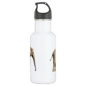 Bouteille D'eau Isolé deux éléphants africains (Dos)