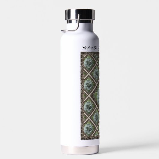 Bouteille d'eau isolée avec de belles succulentes (Plage)