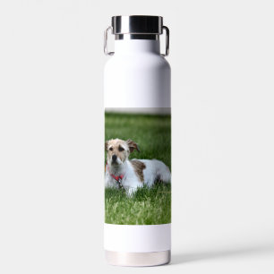 Bouteille D'eau Jack