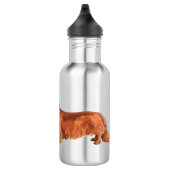 Bouteille D'eau J'aime mon Dachshund aux cheveux longs (Droite)