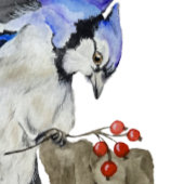 Bouteille D'eau Jay bleu d'oiseau de la forêt