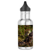 Bouteille D'eau Jeune Alligator (Gauche)