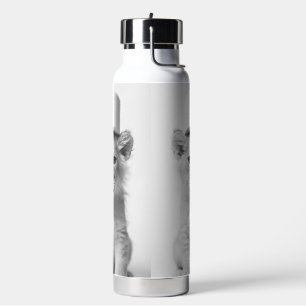 Bouteille D'eau Jeune lion drôle portant du papier toilette Photo