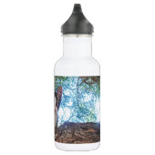 Bouteille D'eau Joli petit chaton jouant dans les bois (Droite)