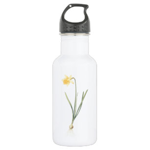 Bouteille D'eau jonquille (Narcissus pseudo-narcisse) par Redouté