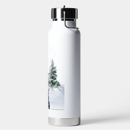 Bouteille D'eau Joyeux Noël (Gym)