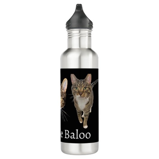 Bouteille D'eau King Louie (Droite)