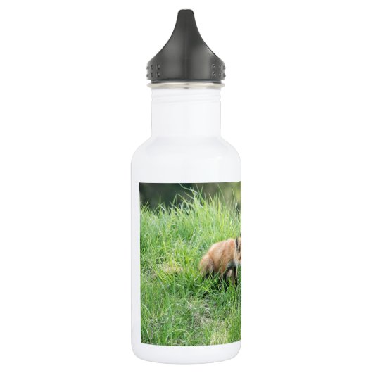 Bouteille D'eau Kits Red Fox (Gauche)