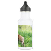 Bouteille D'eau Kits Red Fox (Droite)