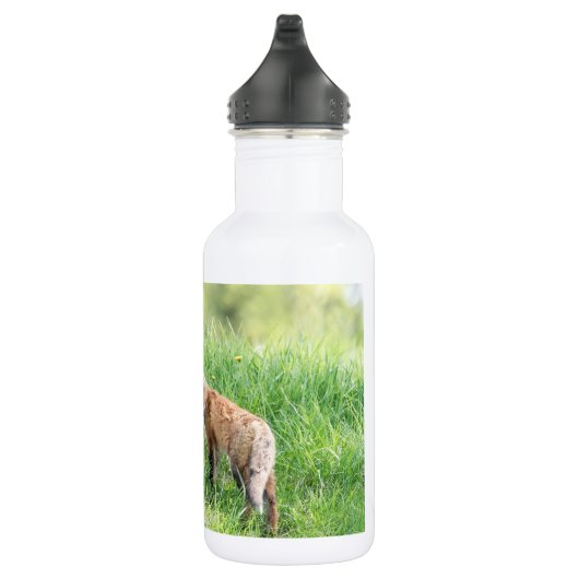 Bouteille D'eau Kits Red Fox (Droite)