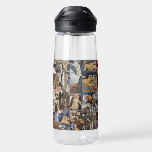 Bouteille D'eau Kitten Photo Collage, (Arrière)