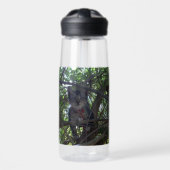 Bouteille D'eau Kittens First Tree Tops Adventure, (Avant)