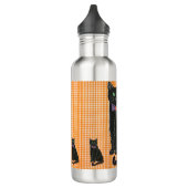 Bouteille D'eau Kitty, Kitty, Kitty Coussin (Gauche)