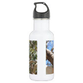 Bouteille D'eau Koala (Dos)