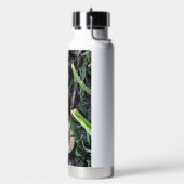 Bouteille D'eau Lady Bug (Gym)