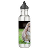 Bouteille D'eau lapin à oreilles de lop mignon (Gauche)