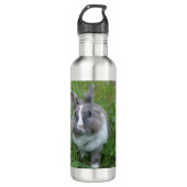 Bouteille D'eau Lapin lapin (Devant)