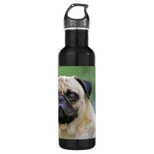 Bouteille D'eau Le chien de carlin