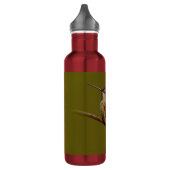 Bouteille D'eau Le colibri d'Anna sur une branche (Gauche)