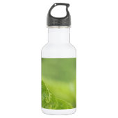 Bouteille D'eau Le feuille de bordage de fougère, verdure, a (Devant)