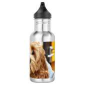 Bouteille D'eau L'eau adorable d'acier inoxydable de chiot de (Droite)