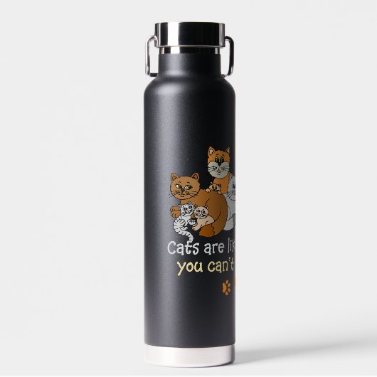 Bouteille D'eau Les chats sont comme des chips (Avant)