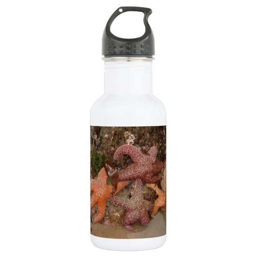 Bouteille D'eau Les étoiles de mer/étoiles de mer dans le canon (Devant)