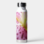 Bouteille D'eau Lily Fleur de Stargazer Magenta Clair (Gym)